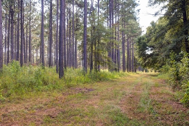 31 Georgia 41, Morgan, GA 39866 - photo 5