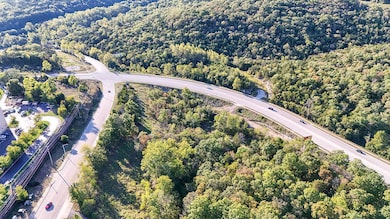 000 Shepherd of the Hills Expy unit Lot 17, Branson, MO 65616 - photo 3