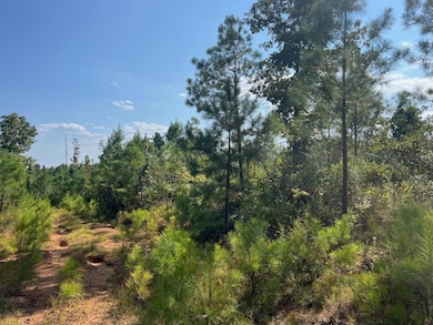 0 Mcdaniel Rd, Ethel, MS 39067 - photo 3