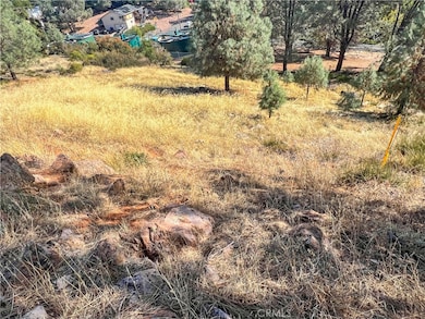 10203 El Capitan Way, Kelseyville, CA 95451 - photo 7