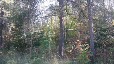 20171018_153621