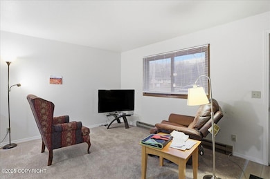 1148 W Dr, Wasilla, AK 99654 - photo 5