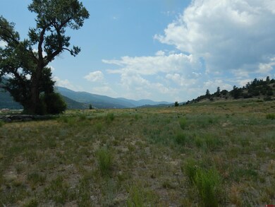 96 Rio Grande Club Trail, South Fork, CO 81154 - photo 5