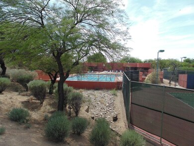 Olympic Size Pool