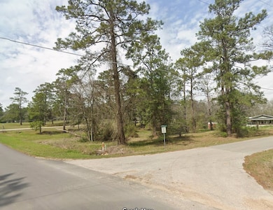 0 Fm-224 unit 95503869, Coldspring, TX 77331 - photo 2
