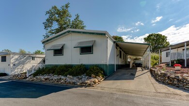 _DSC2923