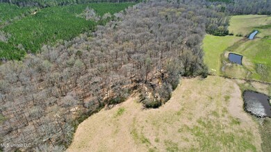 DJI_0859