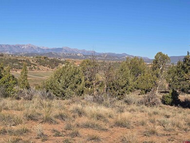 134 Rawhide Rd, Durango, CO 81303 - photo 6