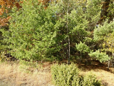 IMG_20171019_154923633