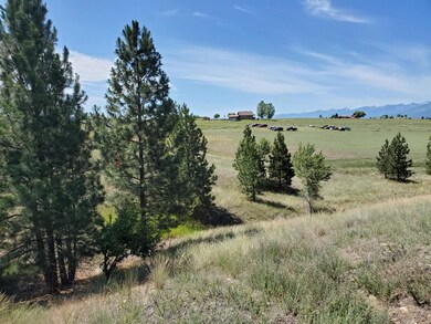 Nhn Porter Hill Rd, Stevensville, MT 59870 - photo 7