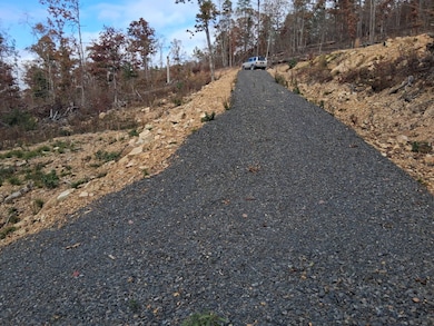 #72 Boktuklo Mountain unit 72, Honobia, OK 74957 - photo 2