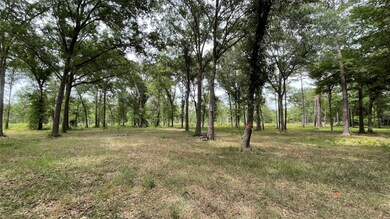 0000 Roberts Cemetary Rd, Hockley, TX 77447 - photo 4