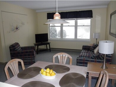 28 Packard Rd unit 531, Waterville Valley, NH 03215 - photo 7