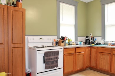 729 N Chestnut St, Lansing, MI 48906 - photo 4