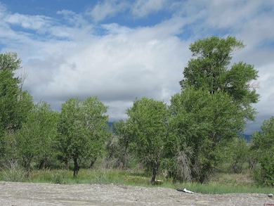 TBD Vacant Land St, Villa Grove, CO 81155 - photo 2