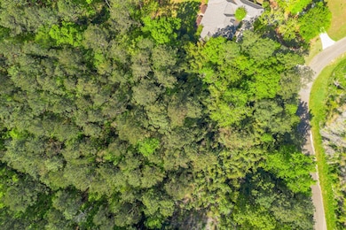 Steep Hollow Lot-2