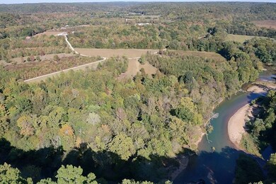 840 Buffalo Bottom Rd, Linden, TN 37096 - photo 4