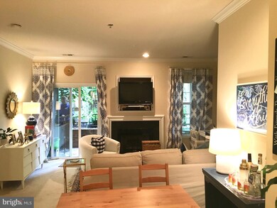 2310 14th St N unit 105, Arlington, VA 22201 - photo 3