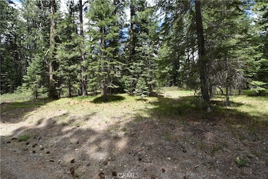 0 Fumarole Dr unit SN25120276, McCloud, CA 96057 - photo 2