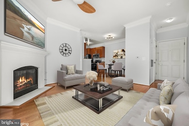 1570 Spring Gate Dr unit 7213, McLean, VA 22102 - photo 5