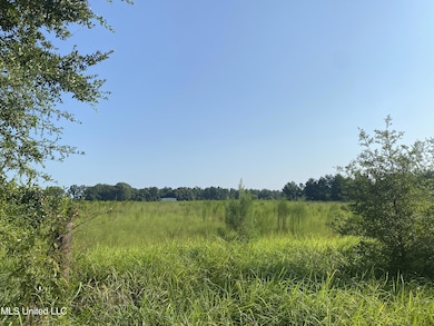 0 Highway 63 S, Lucedale, MS 39452 - photo 3