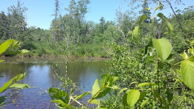 594 River Rd, Windham, ME 04062 - photo 7