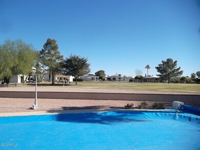 Back yard view