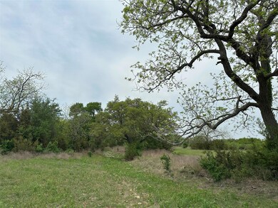 View of local wilderness