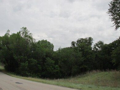 7800 Old Agnes Rd, Poolville, TX 76487 - photo 4