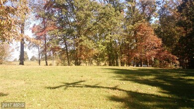 14100 Little Zion Rd, Orange, VA 22960 - photo 3