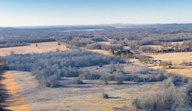 Tract 10 Rooster Rd, Conway, AR 72032 - photo 3