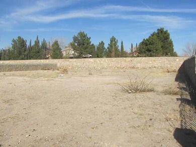 340 Duanesburg St, Horizon City, TX 79928 - photo 4