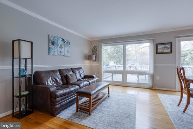 4906 N Centaurs Ct, Annandale, VA 22003 - photo 4