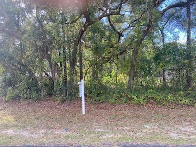 Lot with no rear neighbor