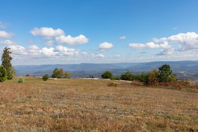 0 Hovering Hawk Dr unit 1326351, Jasper, TN 37347 - photo 6