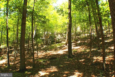 127 Ac Trough Rd, Moorefield, WV 26836 - photo 5