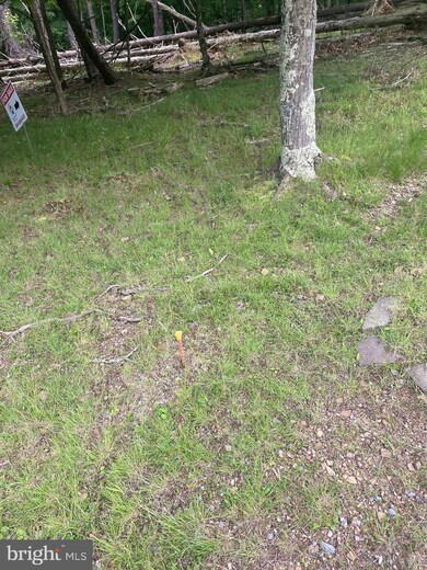 0 Big Sky Ln unit WVMO118606, Berkeley Springs, WV 25411 - photo 4