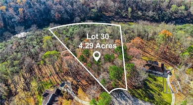 Drone / aerial view with a view of trees