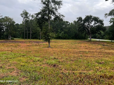 0 Sand Pine Cove unit 4124118, Gautier, MS 39553 - photo 2