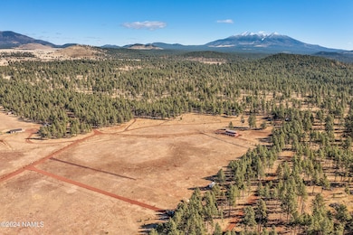 14638 E Keith Dr, Parks, AZ 86018 - photo 6