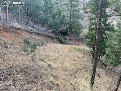 284 Neon Moon View, Manitou Springs, CO 80829 - photo 6