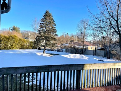 Large Backyard