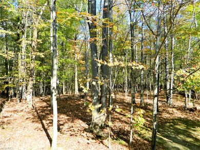 167 Royal Oak Dr, Aurora, OH 44202 - photo 3