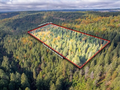 0 Kentucky Flat Rd unit 225140786, Georgetown, CA 95634 - photo 4