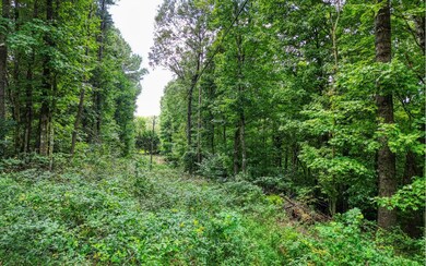 1.22A New Hope Rd, Ellijay, GA 30540 - photo 5