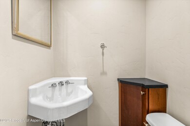 720 W Hopkins Ave unit D, Aspen, CO 81611 - photo 7