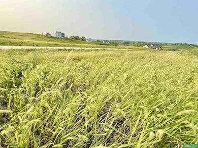 12031 S 229th St, Gretna, NE 68028 - photo 3