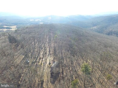 713 Ben Saville, Augusta, WV 26704 - photo 7