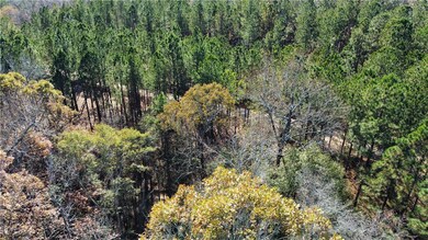 1 Lee Road 333, Salem, AL 36874 - photo 2