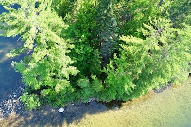 0 Duncan Lake Rd unit MAP 123/56 4917931, Ossipee, NH 03864 - photo 3